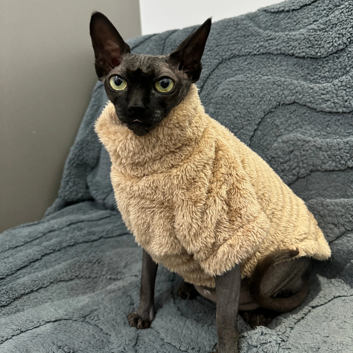 Velvet Pet Sweater