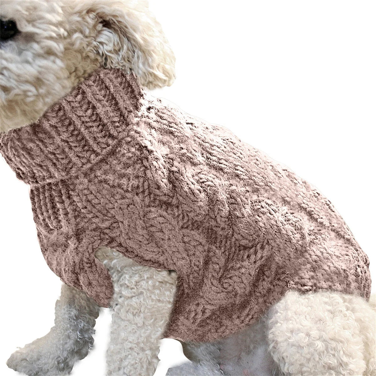 Autum Dog and Cat Turtleneck Sweater