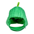 Fruit Hat for Pets