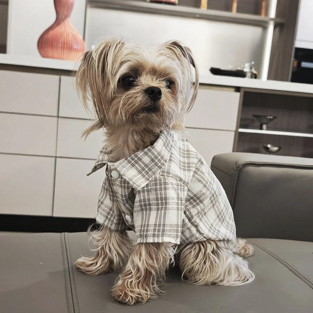 Plaid Shirt for Dogs And Cats