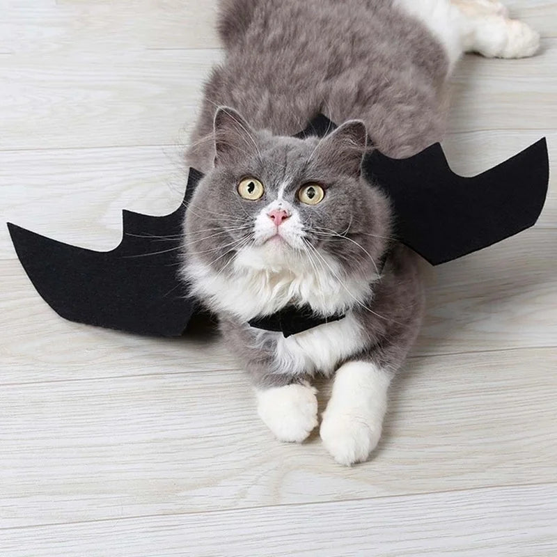 Bat Wings Harness Costume