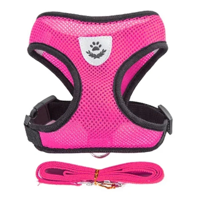 Adjustable Mesh Pet Harness with Leash