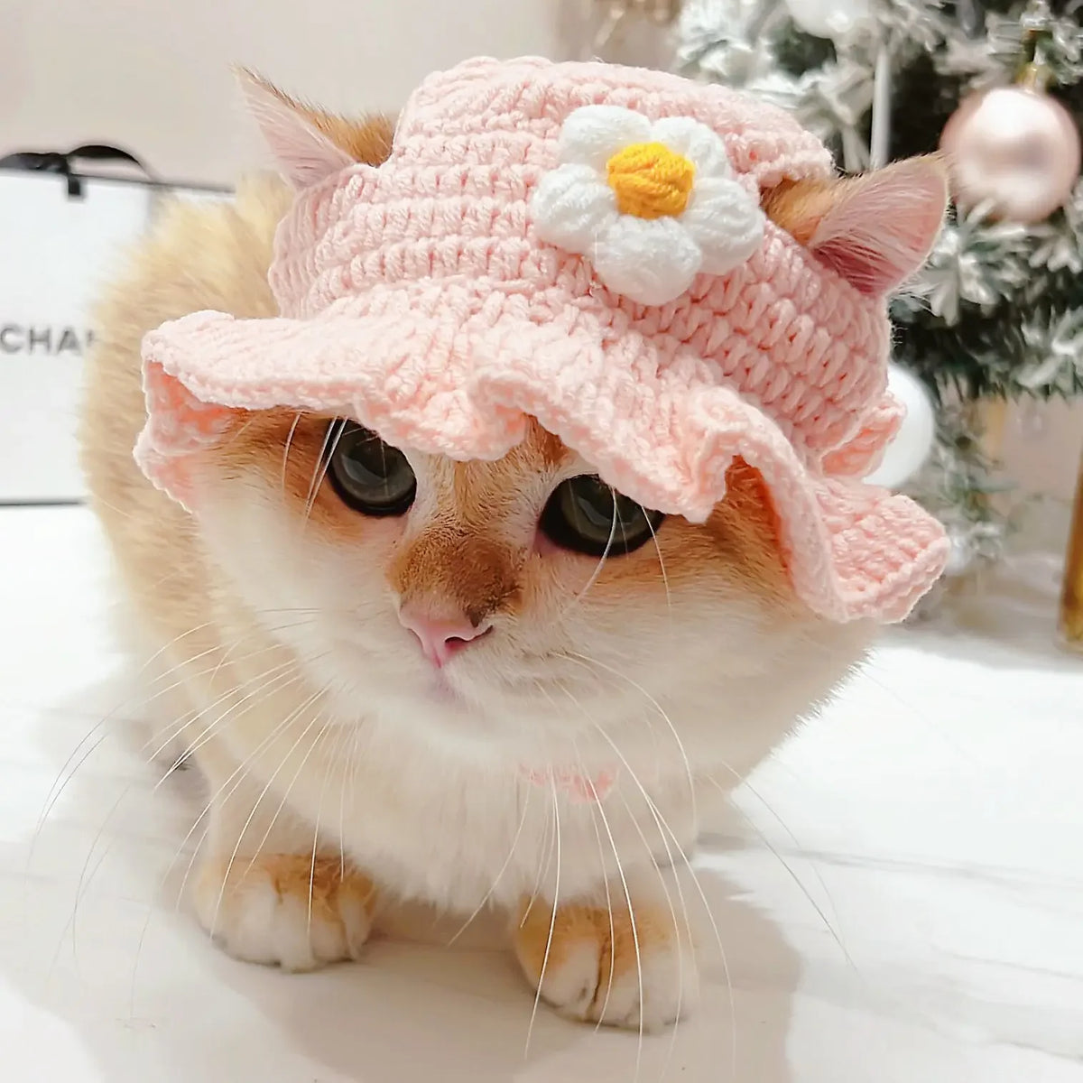 Blind Bag Pet Hat