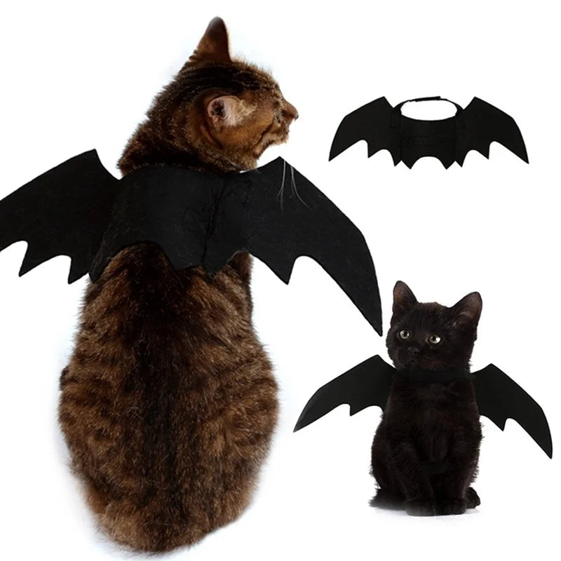 Bat Wings Harness Costume