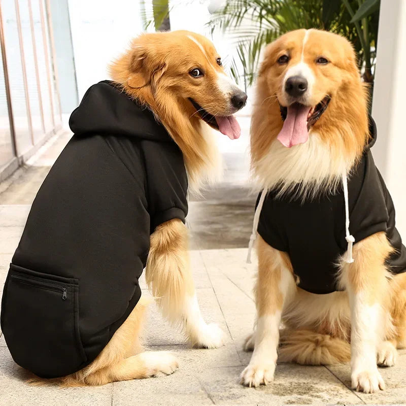 Big Dog Hoodies
