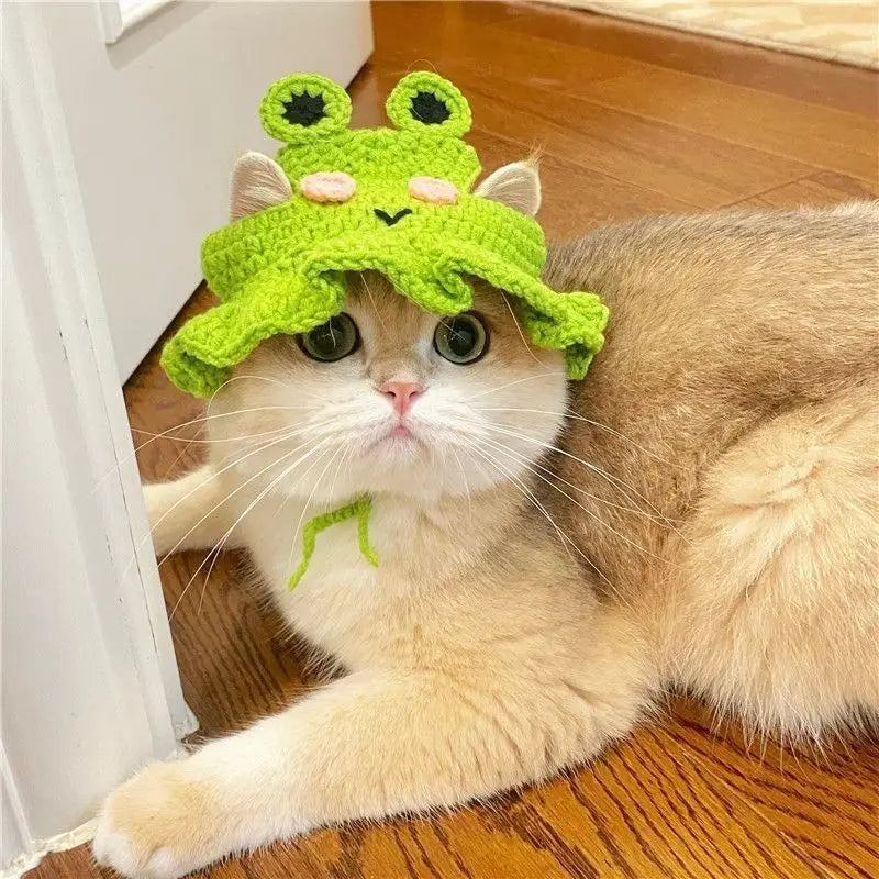 Blind Bag Pet Hat