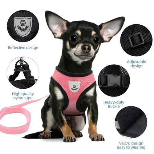 Adjustable Mesh Pet Harness with Leash