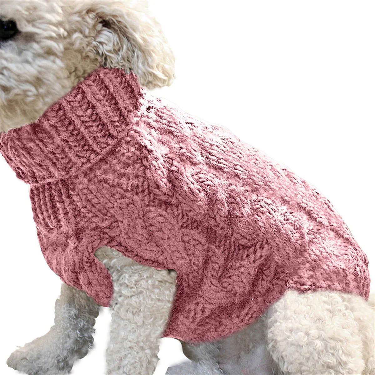 Autum Dog and Cat Turtleneck Sweater