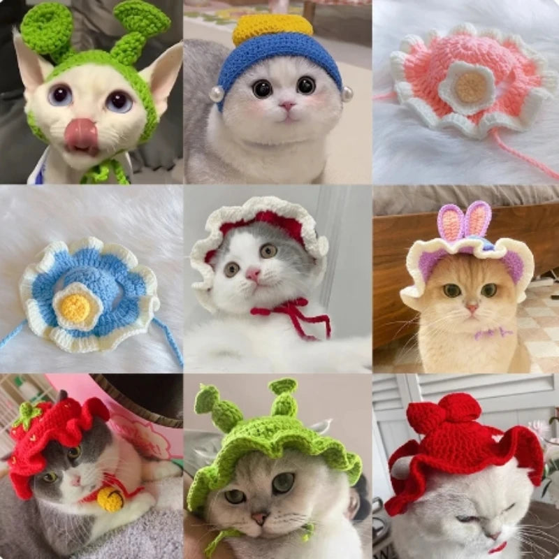 Blind Bag Pet Hat