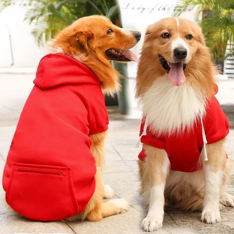 Big Dog Hoodies