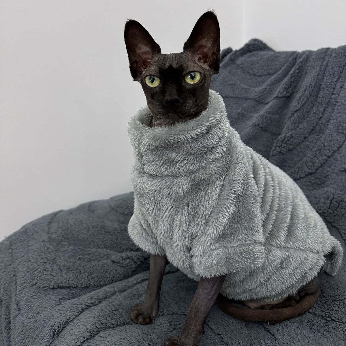 Velvet Pet Sweater