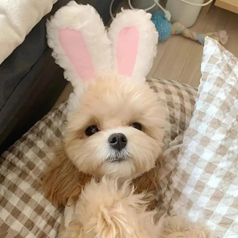 Rabbit Ear Plush Hat for Pets