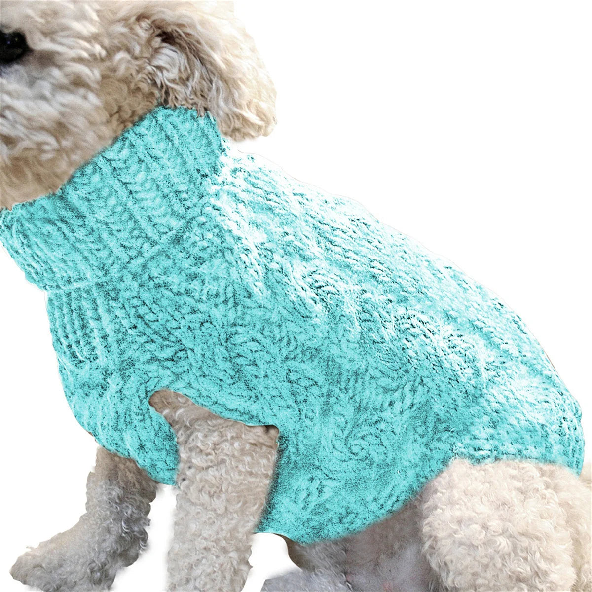 Autum Dog and Cat Turtleneck Sweater