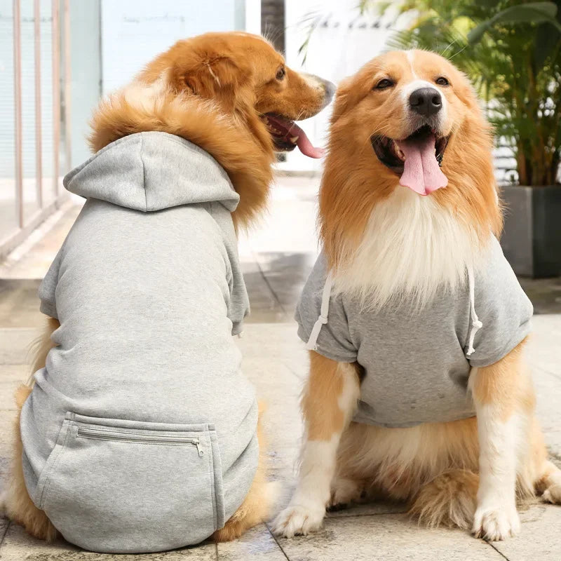 Big Dog Hoodies