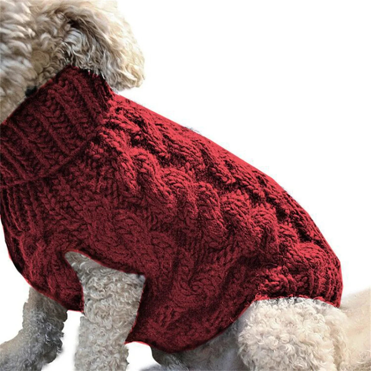 Autum Dog and Cat Turtleneck Sweater