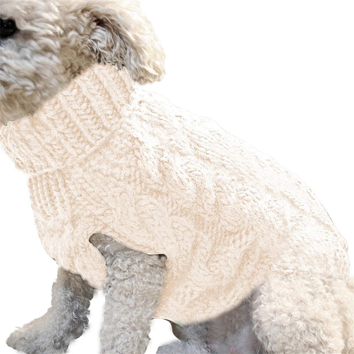 Autum Dog and Cat Turtleneck Sweater