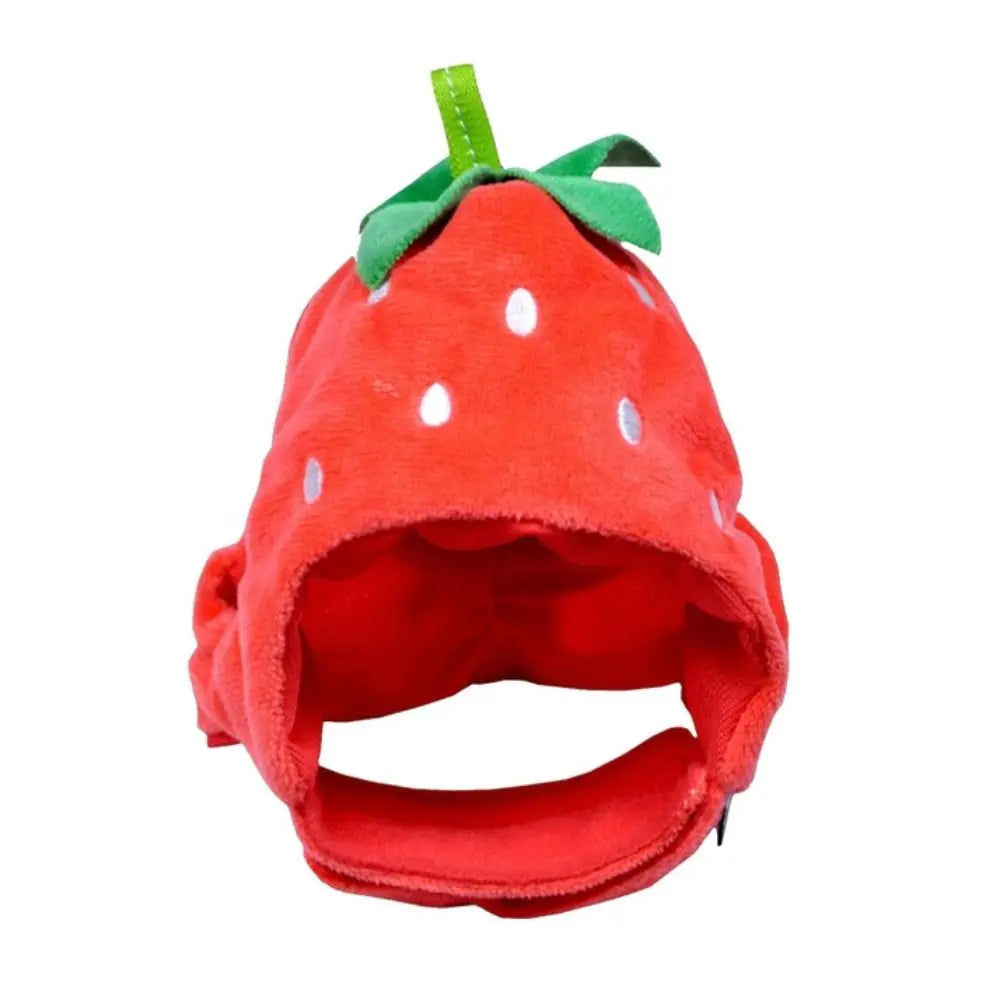 Fruit Hat for Pets