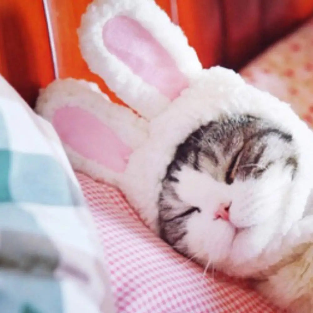 Rabbit Ear Plush Hat for Pets