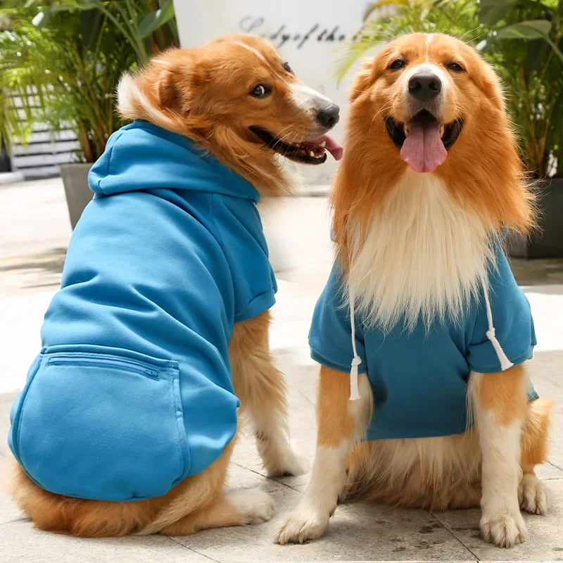 Big Dog Hoodies