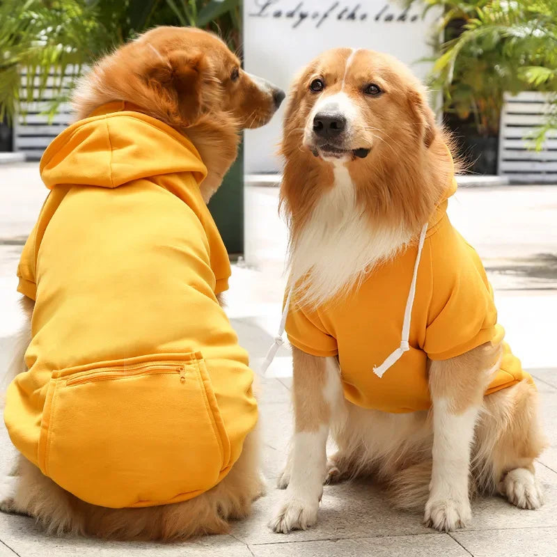 Big Dog Hoodies