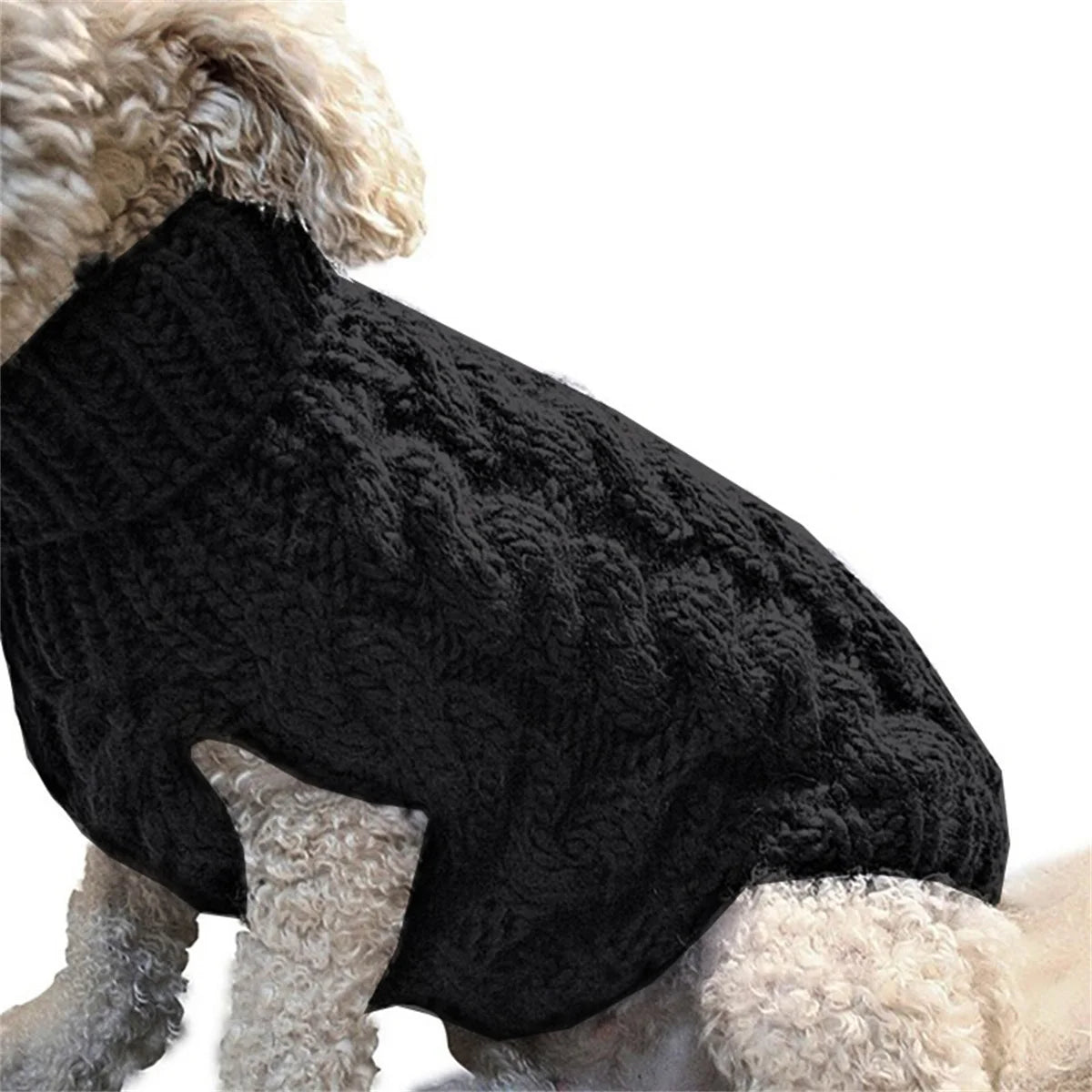 Autum Dog and Cat Turtleneck Sweater