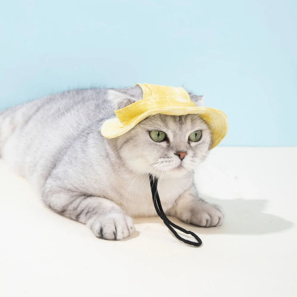 Pets Hat with Ear Holes Adjustable