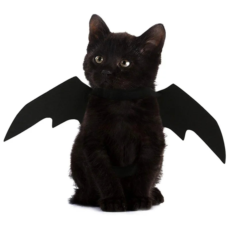 Bat Wings Harness Costume